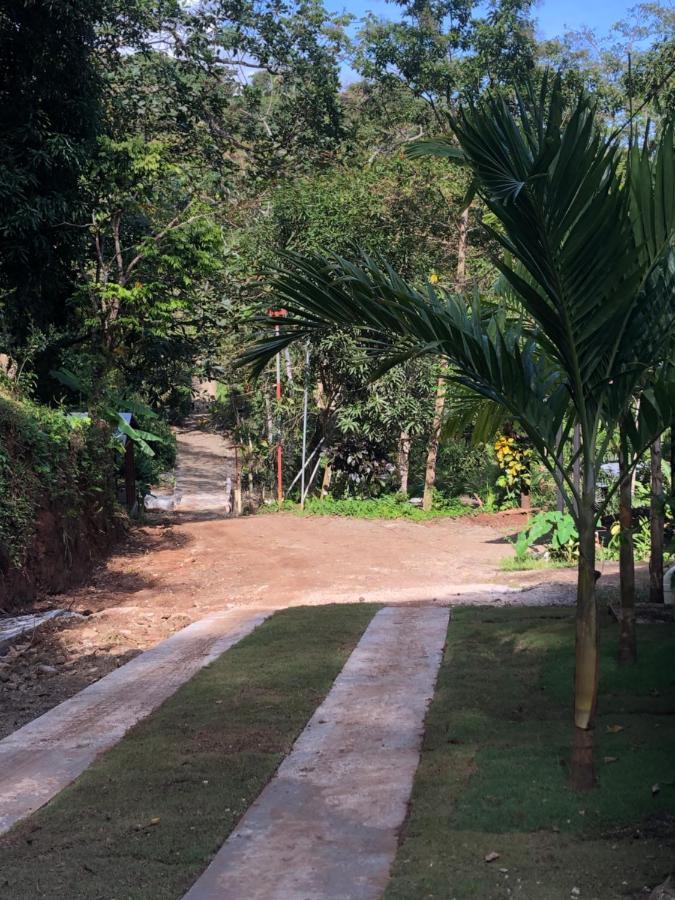 Casa Encantada Offers You Two-Bedroom House, 1 Tiny Apartment & 3 Double Rooms Manuel Antonio Buitenkant foto