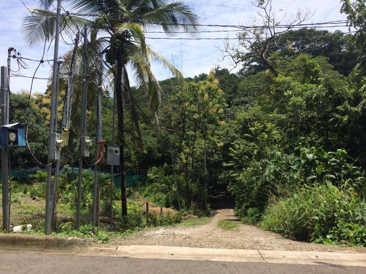 Casa Encantada Offers You Two-Bedroom House, 1 Tiny Apartment & 3 Double Rooms Manuel Antonio Buitenkant foto